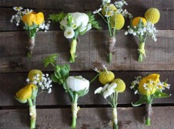 Cvetići za kićenje 16