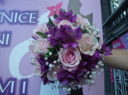 Galerija bidermajera 20